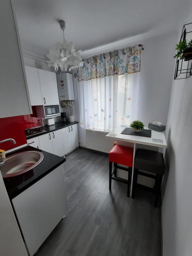 Croma Studio Petrosani Lägenhet Exteriör bild